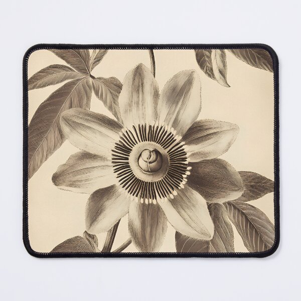 Item preview, Maracujá — Gravura Botânica Vintage | Atlantic Forest designed and sold by AtlanticForest.