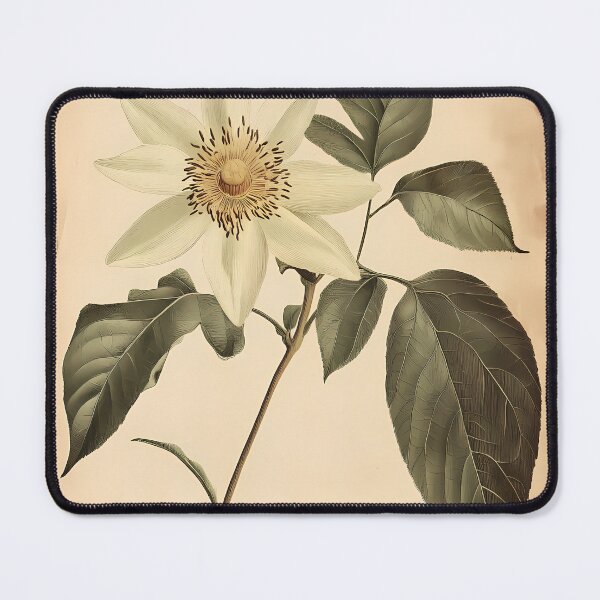 Item preview, Maracujá — Ilustração Científica Vintage | Atlantic Forest designed and sold by AtlanticForest.