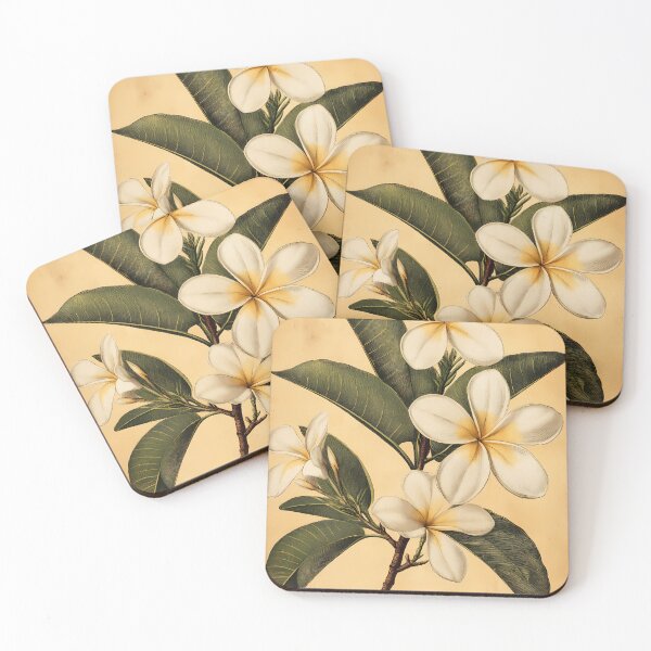 Item preview, Jasmim-Manga — Gravura Botânica Vintage | Atlantic Forest designed and sold by AtlanticForest.