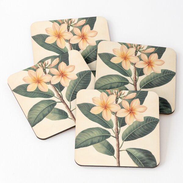 Item preview, Jasmim-Manga — Ilustração Científica Vintage | Atlantic Forest designed and sold by AtlanticForest.