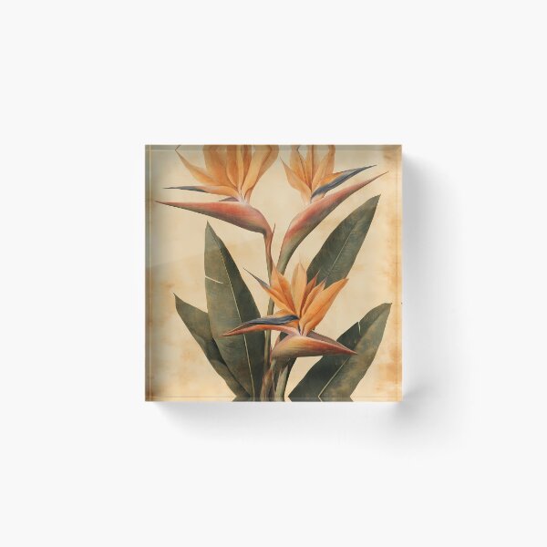 Item preview, Ave-do-Paraíso — Gravura Botânica Vintage | Atlantic Forest designed and sold by AtlanticForest.