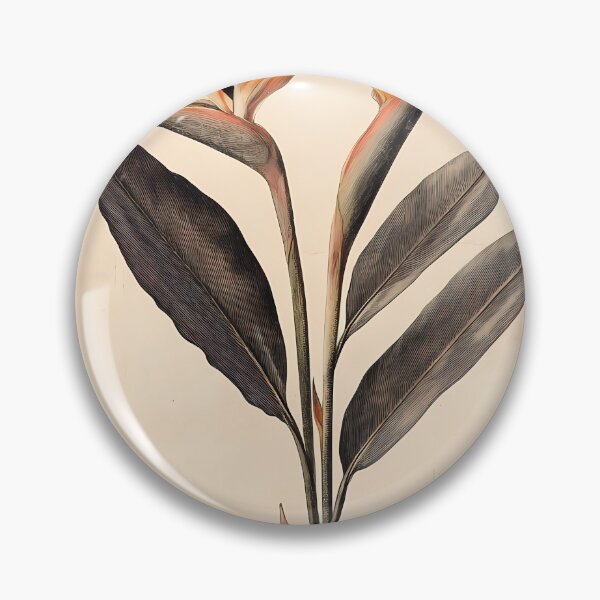 Item preview, Ave-do-Paraíso — Ilustração Científica Vintage | Atlantic Forest designed and sold by AtlanticForest.