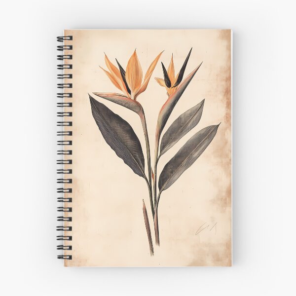 Item preview, Ave-do-Paraíso — Ilustração Científica Vintage | Atlantic Forest designed and sold by AtlanticForest.