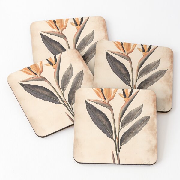 Item preview, Ave-do-Paraíso — Ilustração Científica Vintage | Atlantic Forest designed and sold by AtlanticForest.