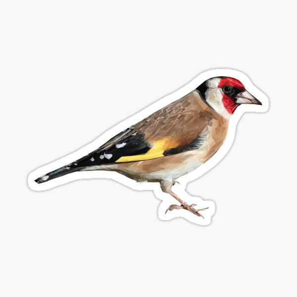 Leonardo Large Goldfinch British Birds Theme Serving Tray 49x30x3cm Lovely Gift 