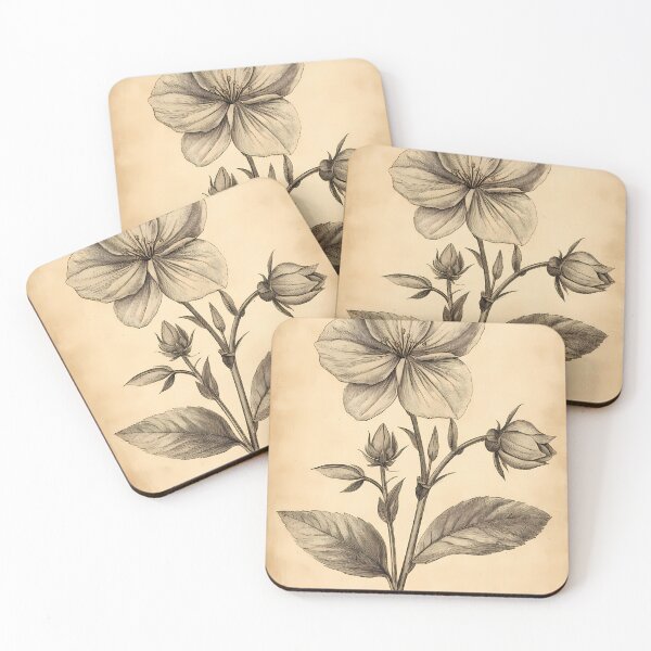 Item preview, Quaresmeira — Ilustração Científica Vintage | Atlantic Forest designed and sold by AtlanticForest.