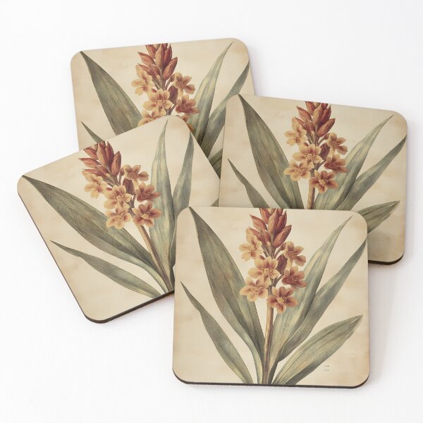 Item preview, Vriésia — Gravura Botânica Vintage | Atlantic Forest designed and sold by AtlanticForest.
