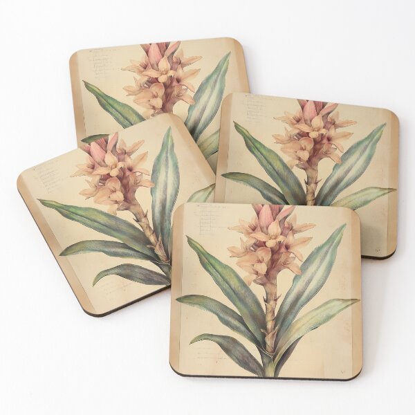 Item preview, Vriésia — Ilustração Científica Vintage | Atlantic Forest designed and sold by AtlanticForest.
