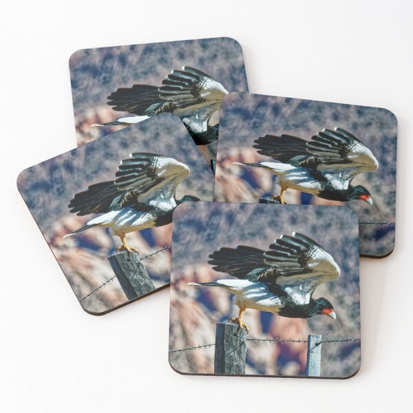Item preview, Carancho in Flight - Wildlife Photograph of a Raptor in Salta - Nature Print designed and sold by Keltoi-art.