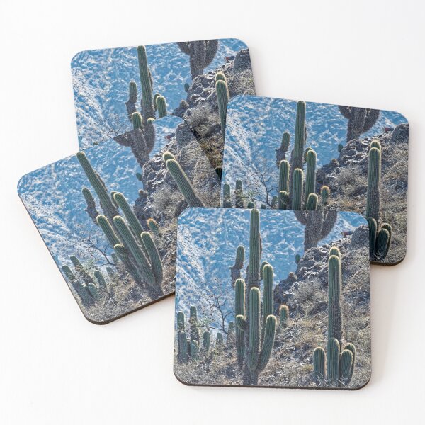 Item preview,  Cactus Cardones - Photo Quebrada del Toro Salta - Landscape Print designed and sold by Keltoi-art.