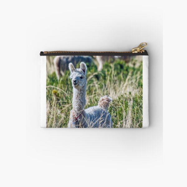 Item preview, Young White Llama - Wildlife Photography Andes - Curious Nature Print designed and sold by Keltoi-art.