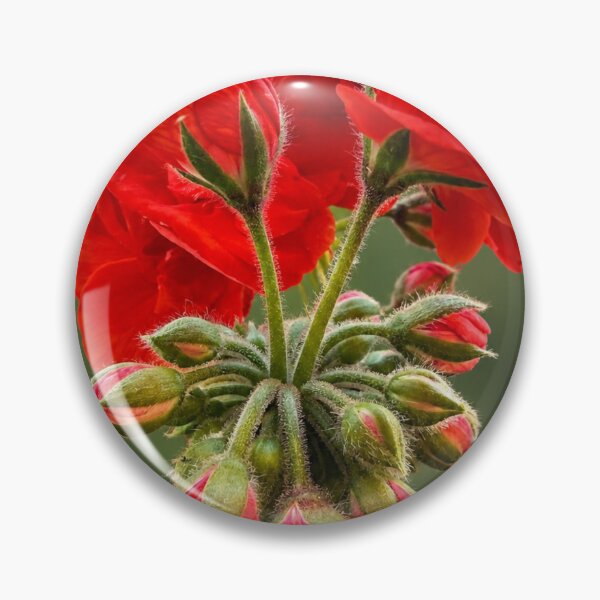 Item preview, Scarlet Geranium Symphony designed and sold by Kimberly Palmer.
