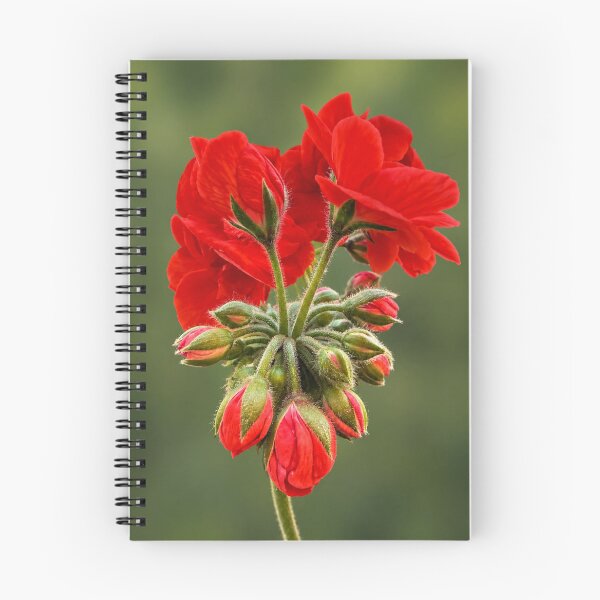 Item preview, Scarlet Geranium Symphony designed and sold by Kimberly Palmer.