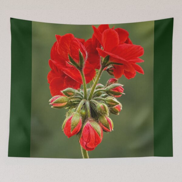 Item preview, Scarlet Geranium Symphony designed and sold by Kimberly Palmer.