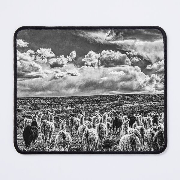 Item preview, Andean Llama Herd - Black and White Photo - Wildlife Print designed and sold by Keltoi-art.