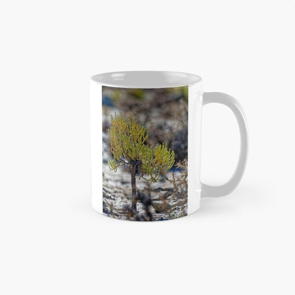 Item preview, Puna shrub - Macro Botanical Photo of the Andes - Nature Print designed and sold by Keltoi-art.