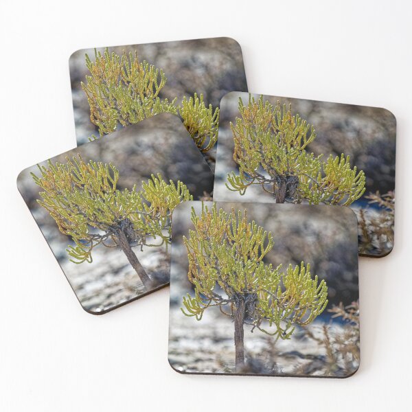 Item preview, Puna shrub - Macro Botanical Photo of the Andes - Nature Print designed and sold by Keltoi-art.