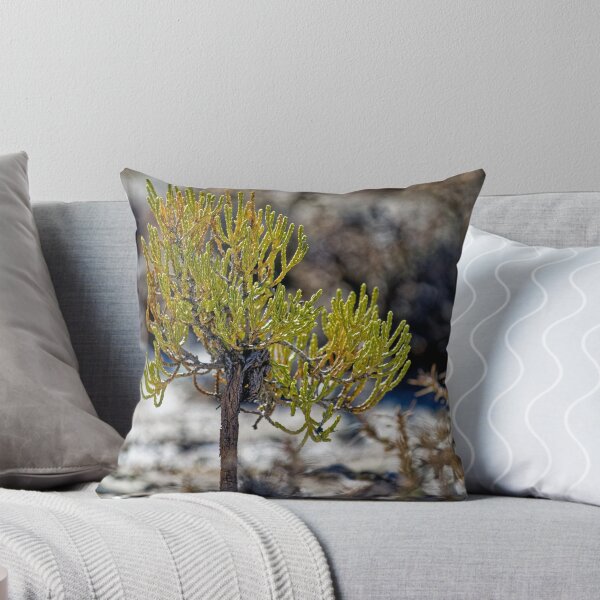 Item preview, Puna shrub - Macro Botanical Photo of the Andes - Nature Print designed and sold by Keltoi-art.
