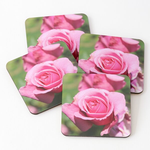 Item preview, Romantic Garden Rose - Soft nature photography designed and sold by Cha-s-lens.