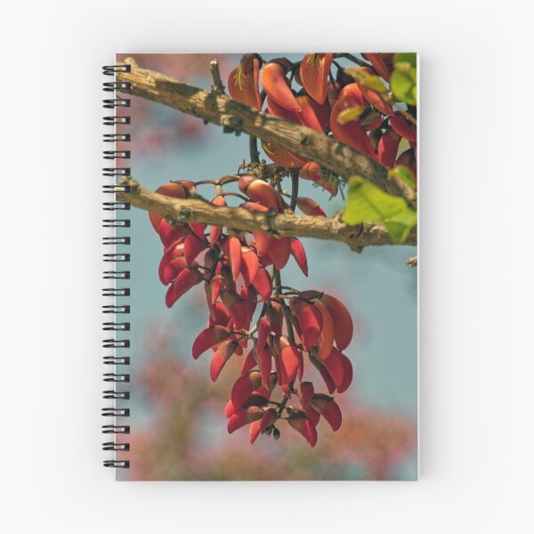 Item preview, Ceibo Flower - Macro Photo, Red Argentina - Botanical Print designed and sold by Keltoi-art.