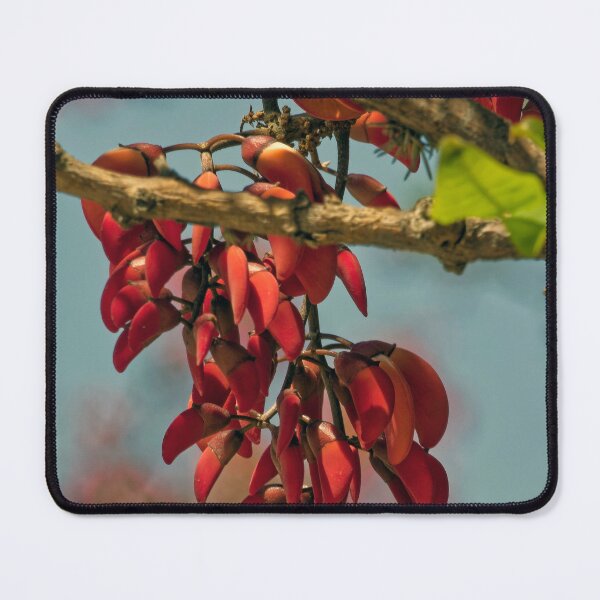 Item preview, Ceibo Flower - Macro Photo, Red Argentina - Botanical Print designed and sold by Keltoi-art.