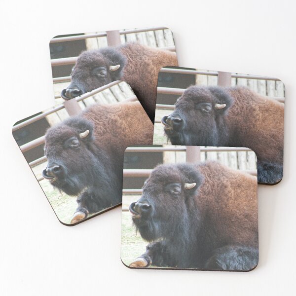 Item preview, Bison nose picking designed and sold by V-NessaArt.