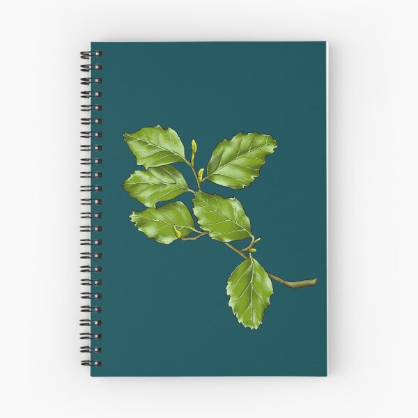 Item preview, Nothofagus leaf designed and sold by StephCarrDesign.