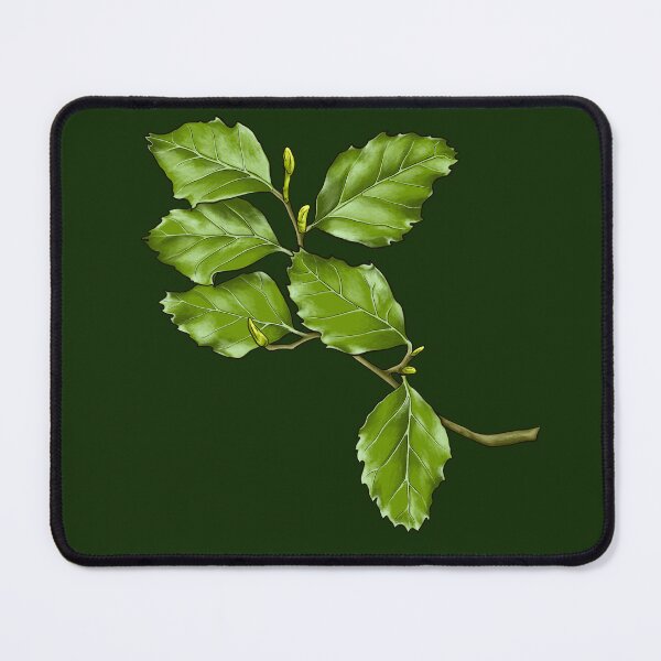 Item preview, Nothofagus leaf designed and sold by StephCarrDesign.