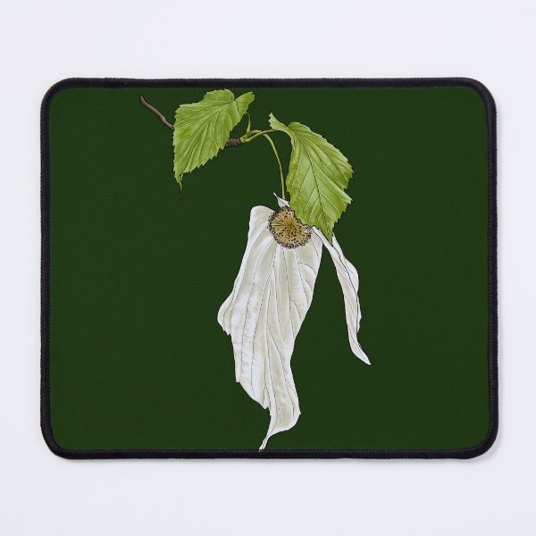 Item preview, Handkerchief Tree leaf and white bract designed and sold by StephCarrDesign.