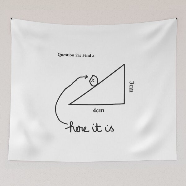 Item preview, Find X – Funny Math Meme | The X is right here designed and sold by Mavriboy.