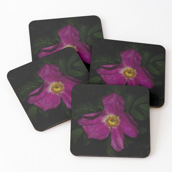 Item preview, Pink Wild Rose Against Dark Green Leaves designed and sold by LueNoir.