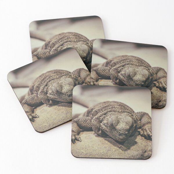 Item preview, Sleeping Desert Lizard Nature Wall Art designed and sold by Mutezone.