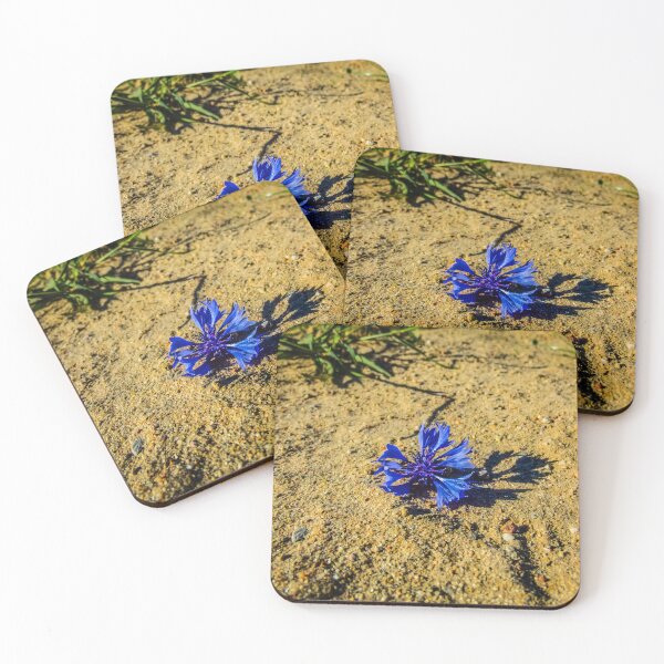 Item preview, Blue Cornflower Fallen on Sandy Ground designed and sold by LueNoir.
