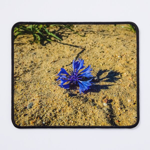 Item preview, Blue Cornflower Fallen on Sandy Ground designed and sold by LueNoir.