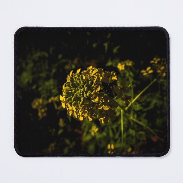 Item preview, Yellow Wildflower Cluster in Dramatic Dark Light designed and sold by LueNoir.