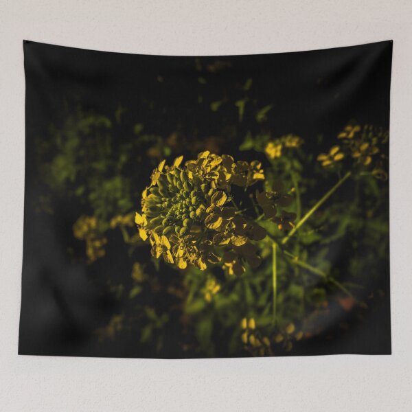 Item preview, Yellow Wildflower Cluster in Dramatic Dark Light designed and sold by LueNoir.