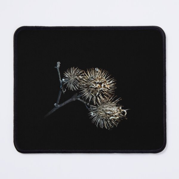 Item preview, Dried Burdock Burrs on Black Background designed and sold by LueNoir.