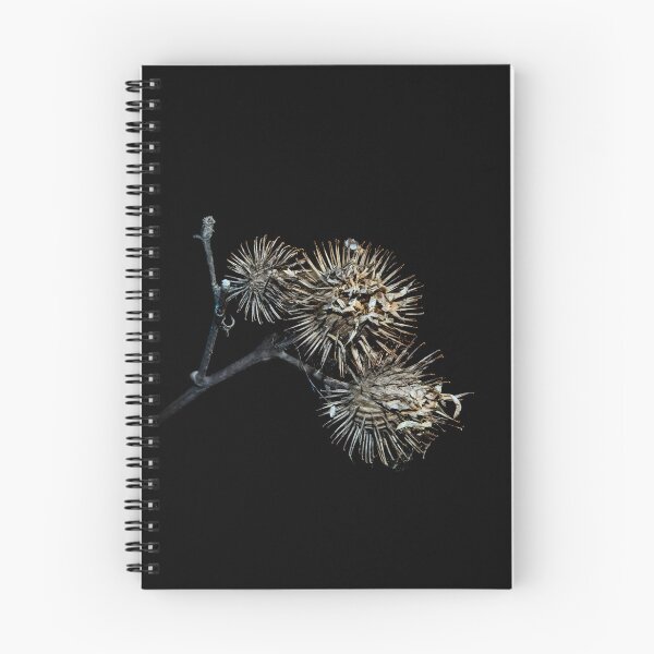 Item preview, Dried Burdock Burrs on Black Background designed and sold by LueNoir.