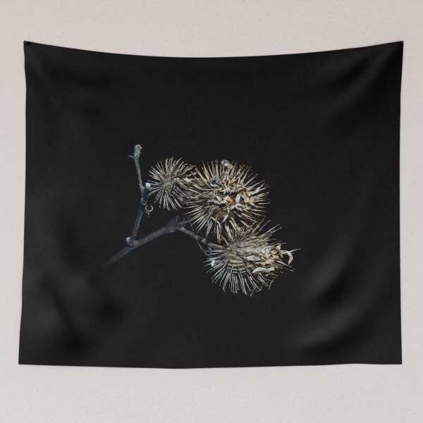Item preview, Dried Burdock Burrs on Black Background designed and sold by LueNoir.