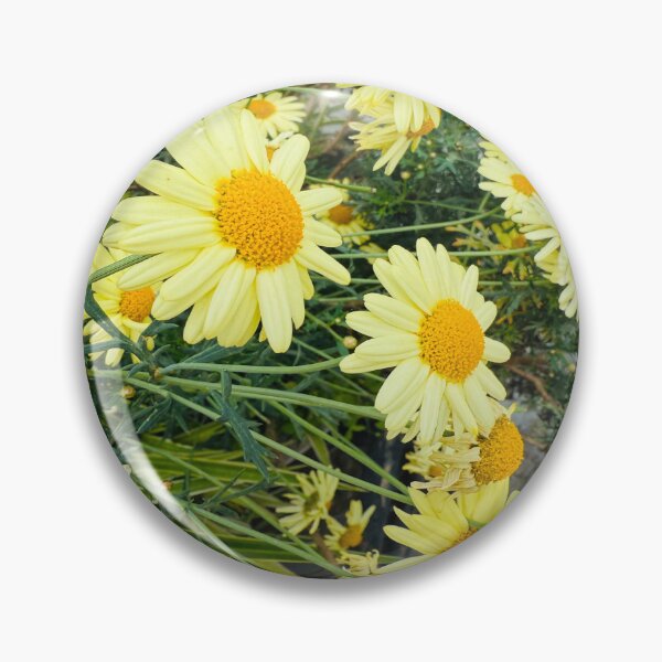 Item preview, Abundant Yellow Marguerite Daisies Garden Bed designed and sold by BalkanBloom.