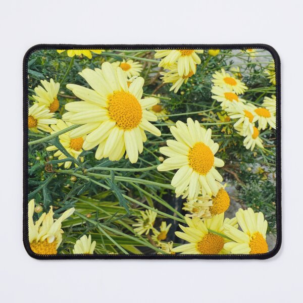 Item preview, Abundant Yellow Marguerite Daisies Garden Bed designed and sold by BalkanBloom.