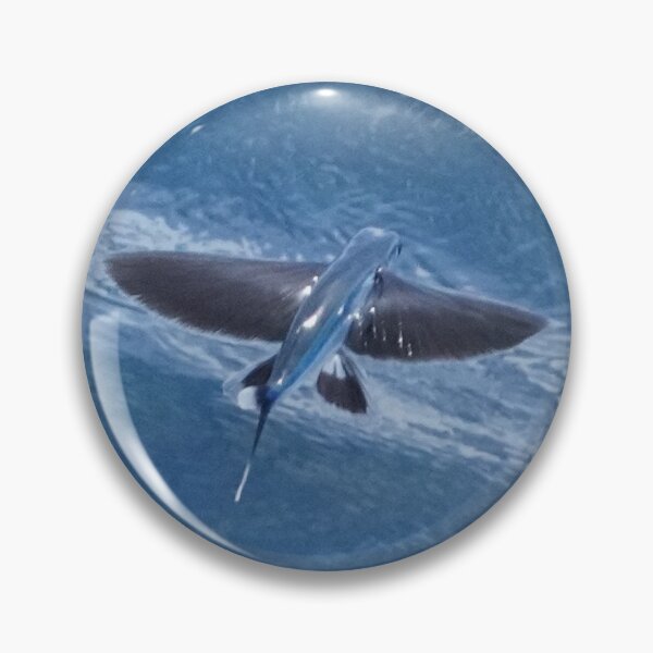 Item preview, Flying Fish in Flight designed and sold by Malcolm Snook.