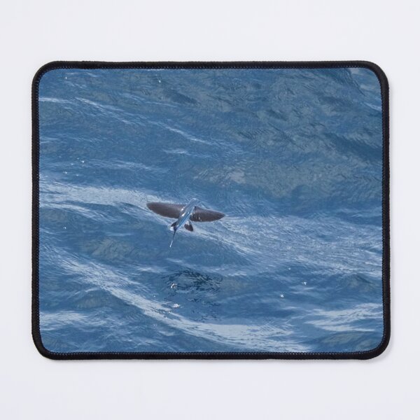 Item preview, Flying Fish in Flight designed and sold by Malcolm Snook.