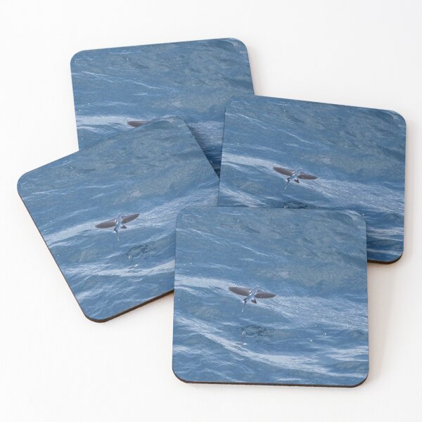 Item preview, Flying Fish in Flight designed and sold by Malcolm Snook.