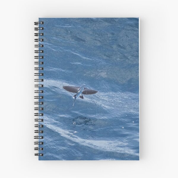 Item preview, Flying Fish in Flight designed and sold by Malcolm Snook.