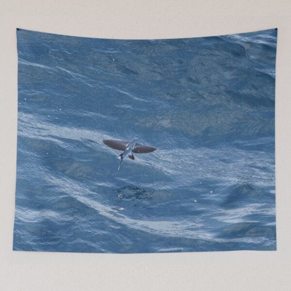Item preview, Flying Fish in Flight designed and sold by Malcolm Snook.