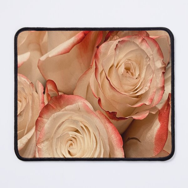 Item preview, Elegant White Roses with Crimson Red Trimmed Edges designed and sold by BalkanBloom.