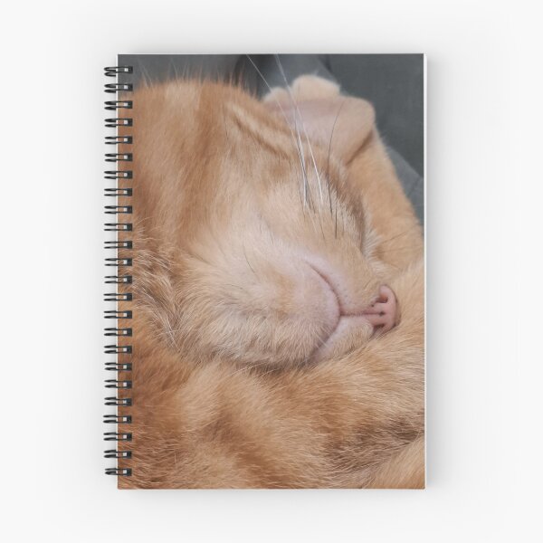 Item preview, Just Jerry designed and sold by Daisy Lane Gifts UK.