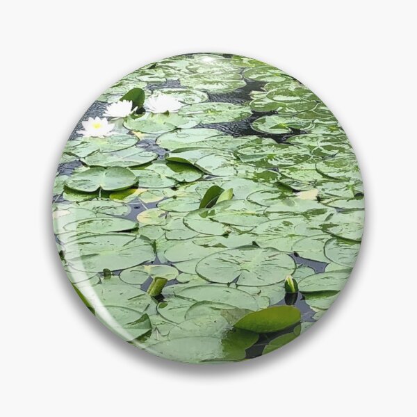 Item preview, Lotus Lake, REAL photograph designed and sold by GiSilver.