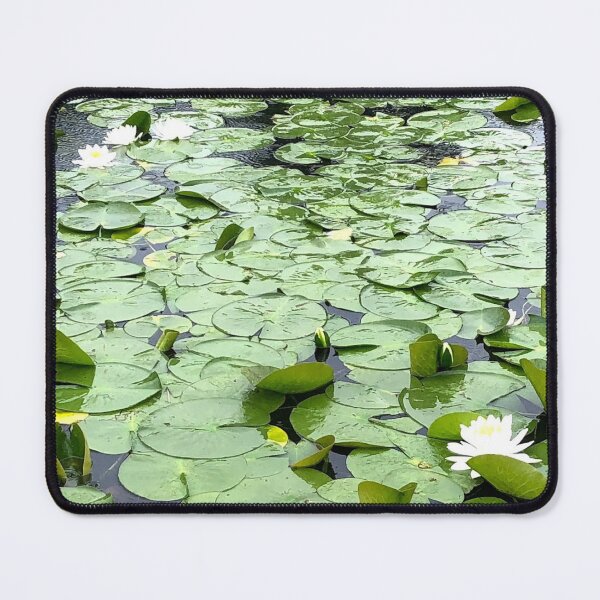 Item preview, Lotus Lake, REAL photograph designed and sold by GiSilver.